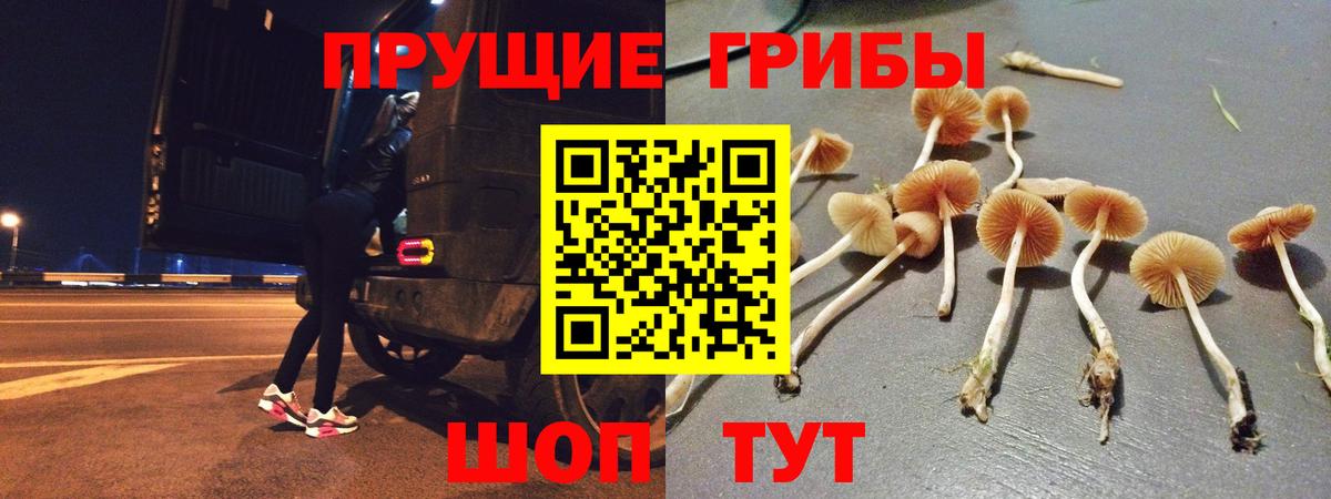 где можно купить   Псилоцибиновые грибы Psilocybine cubensis  Вход с VPN  Ишим 